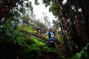 BIB: 
                            <button type="button" onclick="openModal(26204864)" class="btn btn-primary btn-sm float-right btn-popup" data-toggle="modal" data-target=".modal-high-quality">
                        <i class="fas fa-shopping-cart"></i> Add to Cart
                    </button>
                                            <button type="button" onclick="isThisMe(26204864, true)" class="btn btn-success btn-sm float-right btn-popup btn-isme hidden" data-toggle="tooltip" data-placement="bottom" title="นี่คือรูปของคุณใช่ไหม คลิกที่นี่เพื่อเอาเข้าอัลบั้ม">
                        <i class="fas fa-plus"></i> Add to album
                    </button>
                    <button type="button" onclick="isThisMe(26204864, false)" class="btn btn-warning btn-sm float-right btn-popup btn-isnotme hidden">
                        <i class="fas fa-ban"></i> Remove from album
                    </button>